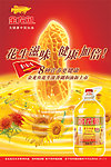 食用油广告
