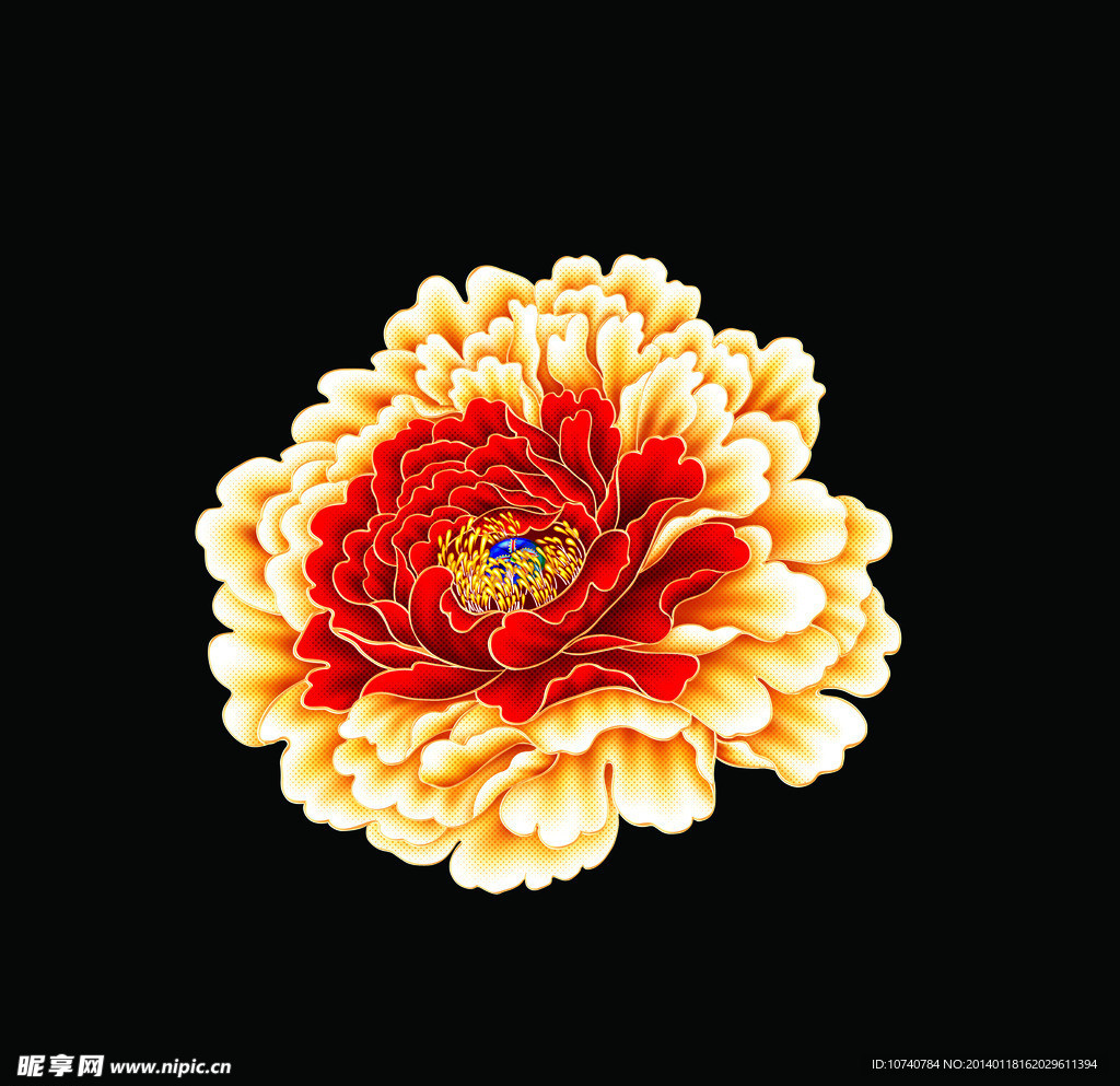 牡丹花