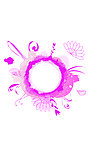 花纹