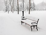 雪景