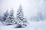 雪景