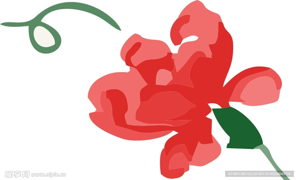 花纹
