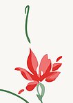 花纹
