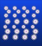 花纹
