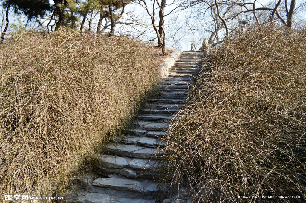 小石梯
