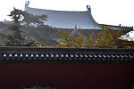 隆兴寺景观