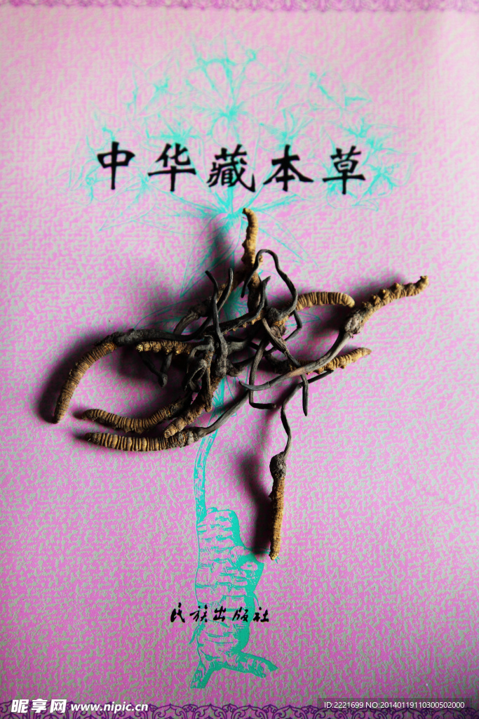 冬虫夏草