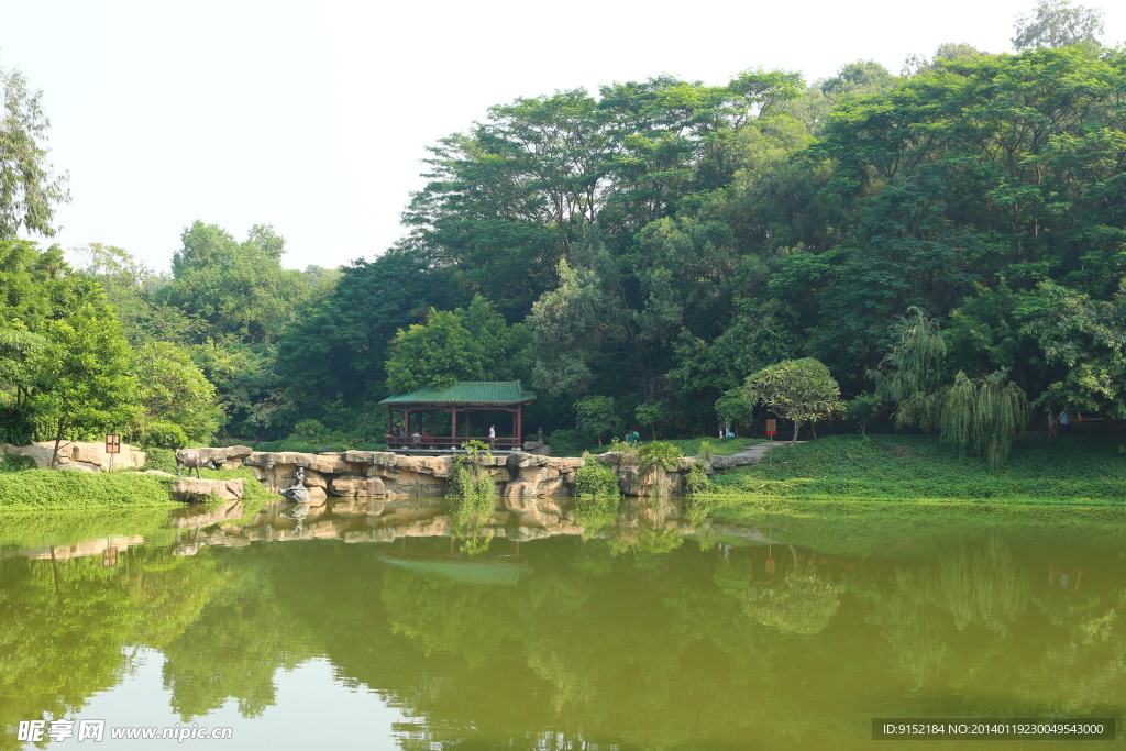 公园 旅游