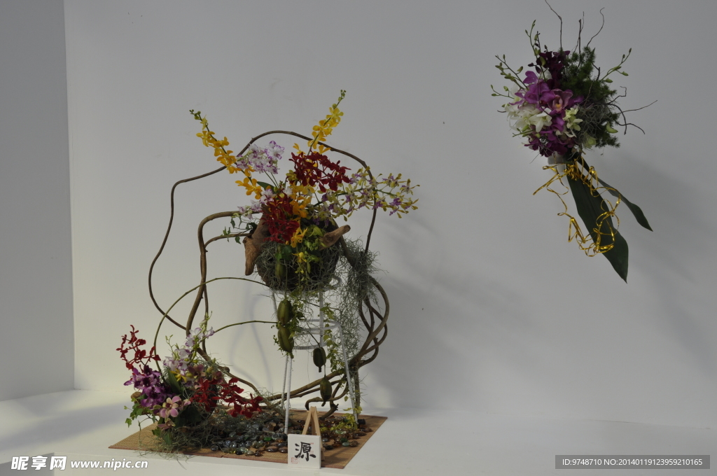 兰花展精品