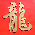 龙字