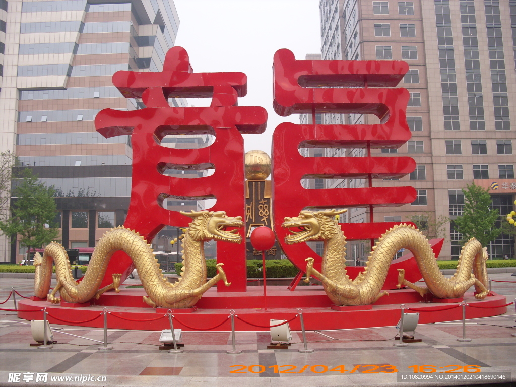 金龙