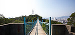 金鸡山观景台吊桥
