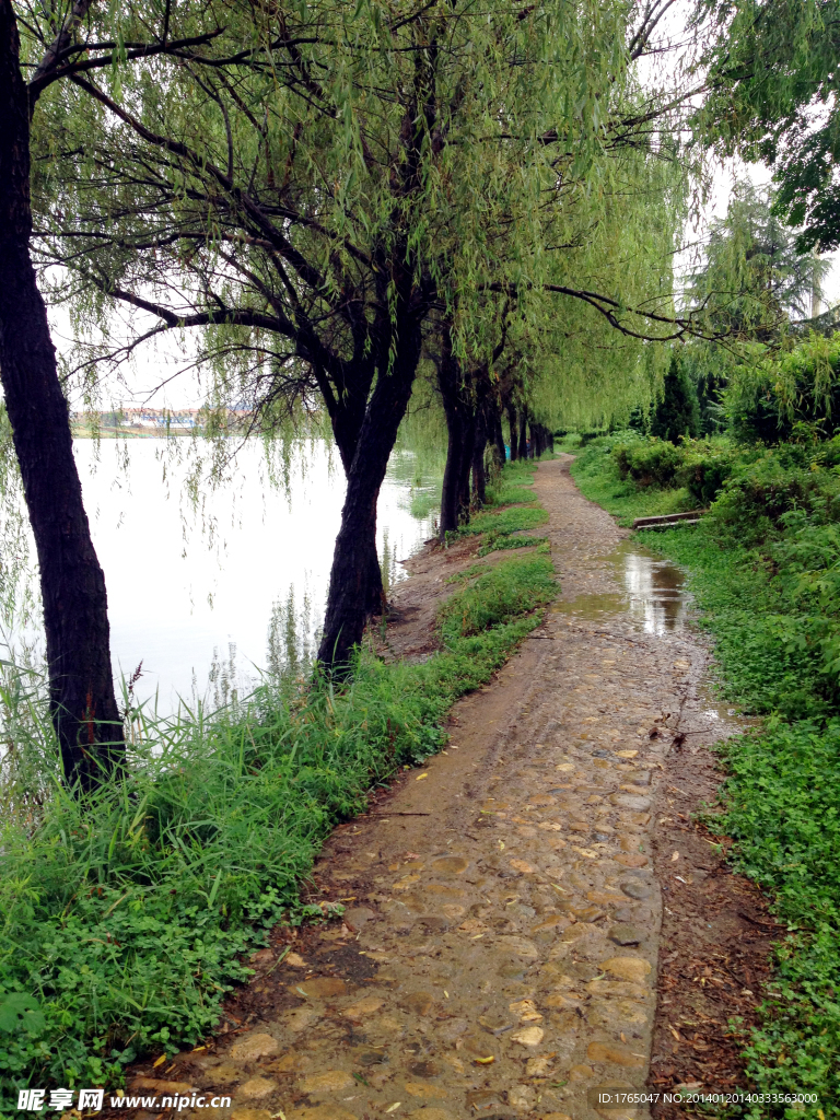 河边小路