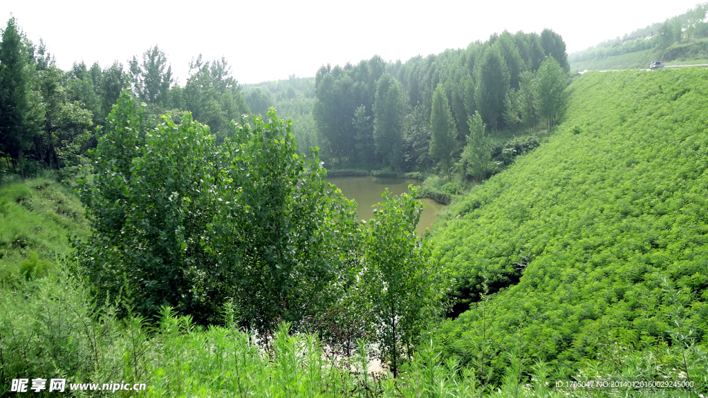 美景