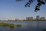 五里河