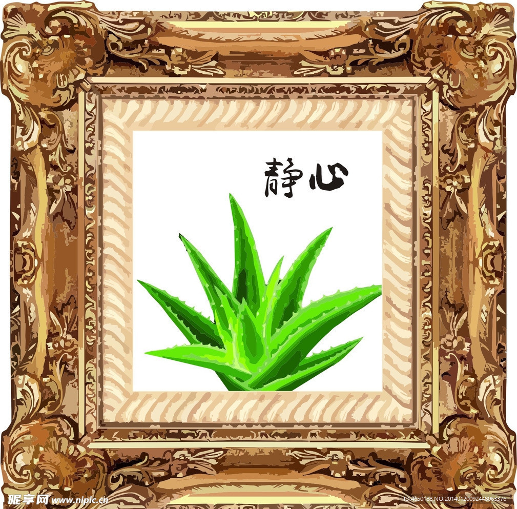 芦荟