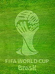 2014世界杯