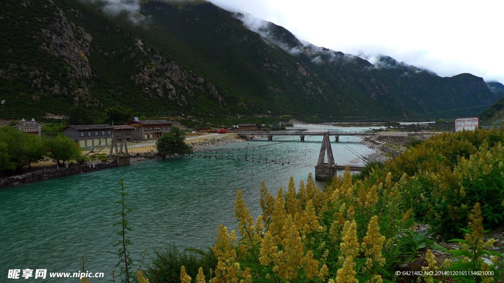 尼洋河风景