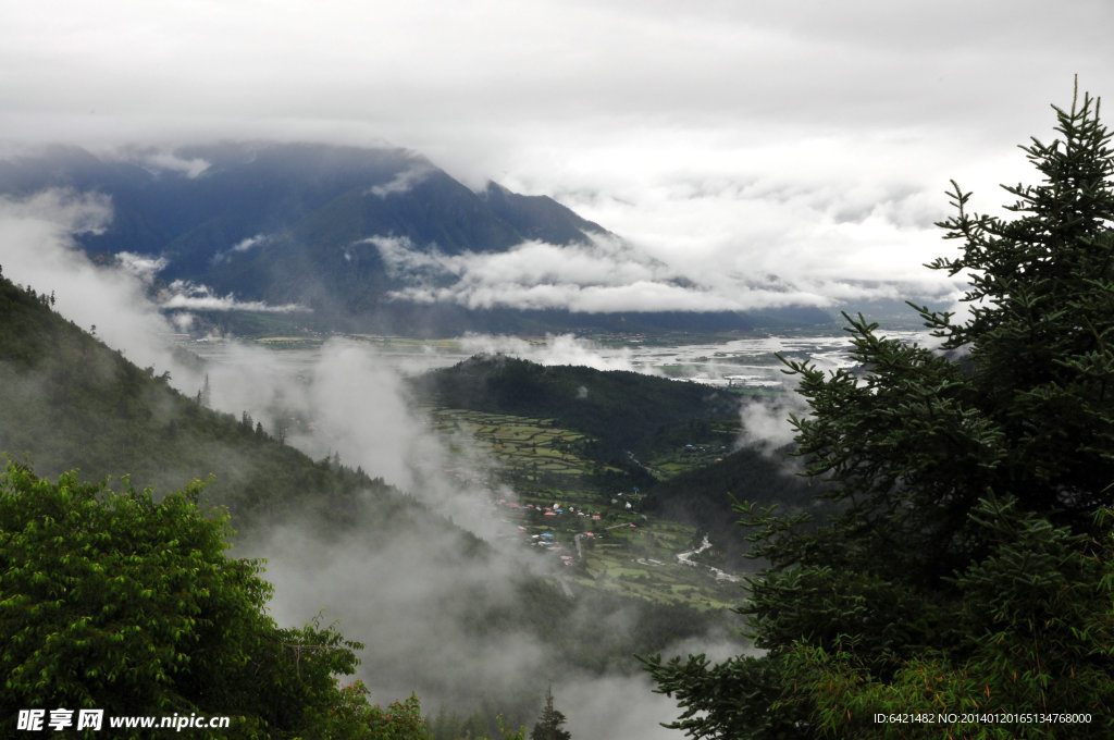 尼洋河风景