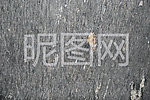 宇宙金花岗岩石材