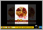 干果 台卡