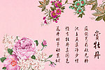 赏牡丹