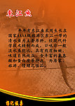 东江鱼