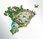 巴西设计