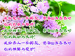鲜花 情人节