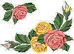 玫瑰花纹