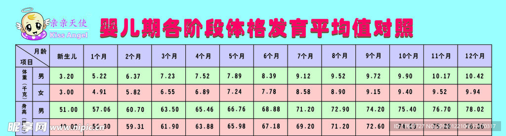 宝宝体格表