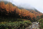 雾中光雾山