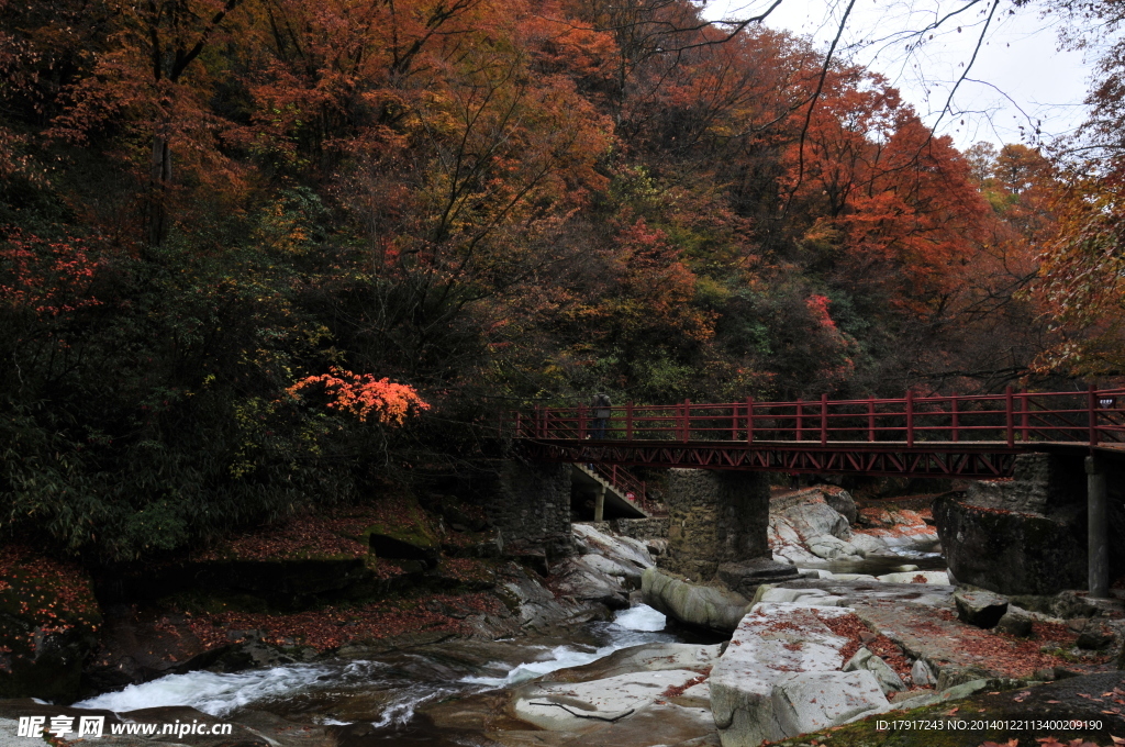 光雾山红叶秋景