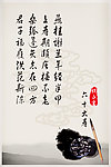 中国风水墨祝寿瓶贴