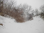 春雪