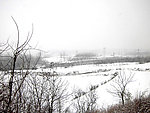 春雪