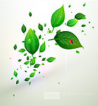 绿叶背景