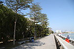 海边栈道