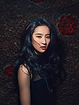 刘亦菲