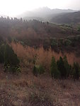 山林风景