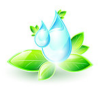 绿叶 水珠 水滴