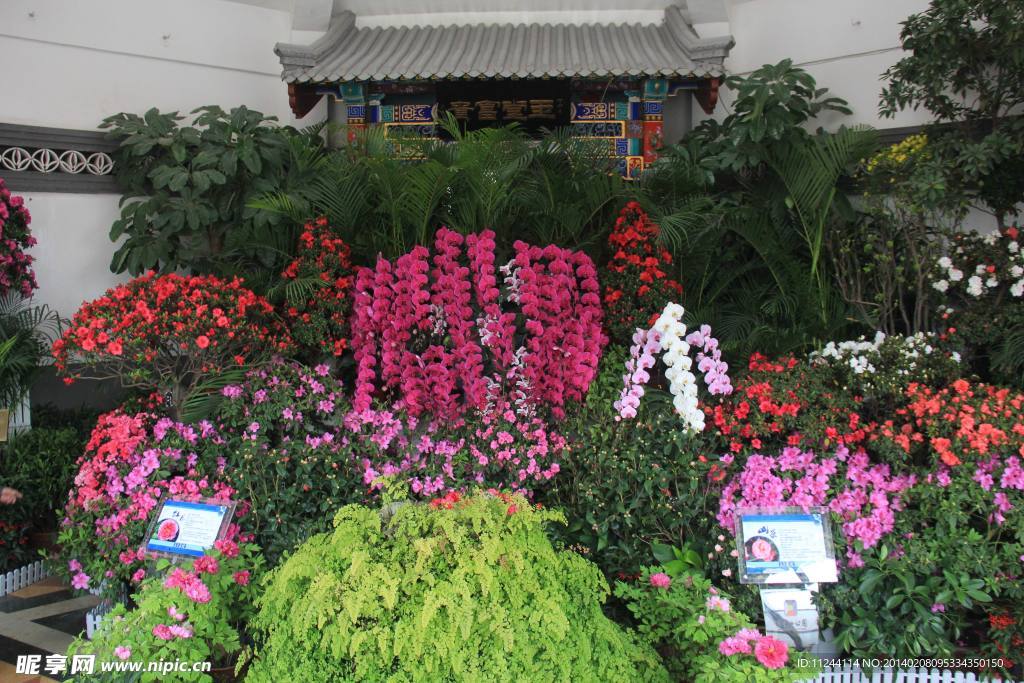 盛开的鲜花