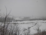 春雪