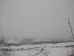 春雪