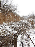 春雪
