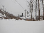 春雪