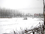 春雪