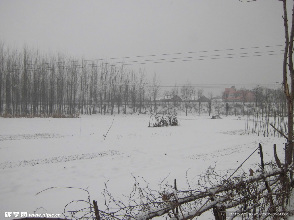 春雪