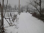 春雪