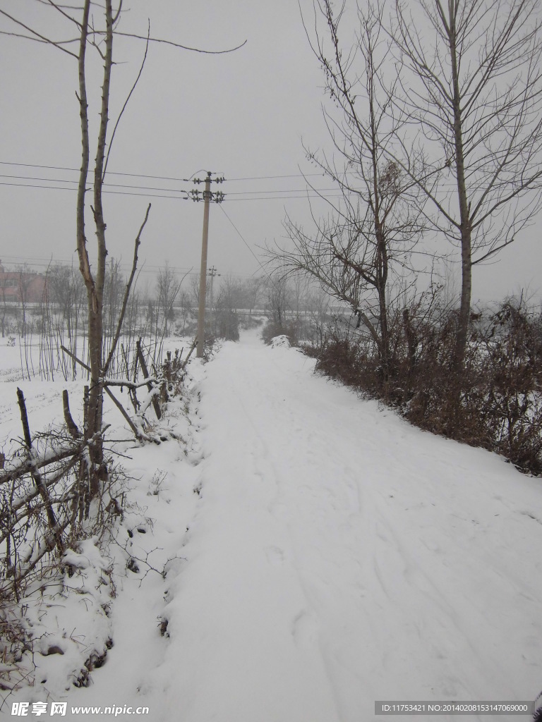 春雪